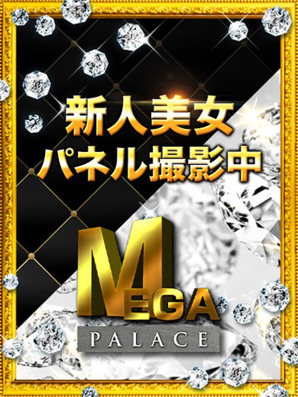 MEGA PALACE(メガ パレス)  アミ
